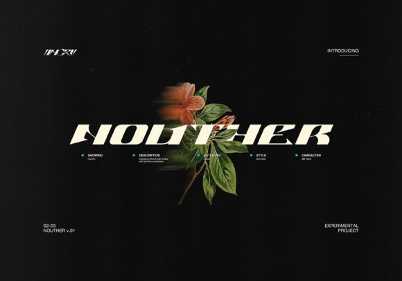 Nouther: A Modern Display Font for Small Business Branding